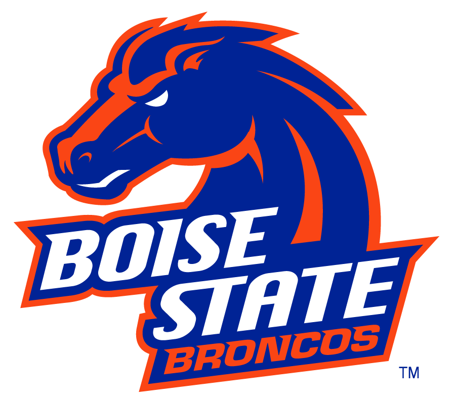 Boise State Broncos 2002-2012 Secondary Logo v29 iron on transfers for T-shirts